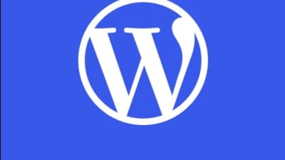 Wordpress Coaching